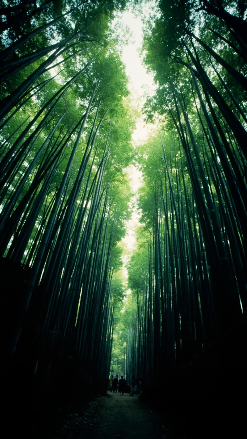 AI-generated photograph of Arashiyama bamboo grove by MiniMax — warm tones but too vivid for vintage, rated 6/10