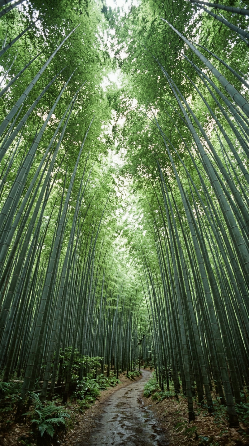 AI-generated vintage 1970s photograph of Arashiyama bamboo grove in Kyoto by Nano Banana 2 — olive-shifted greens mimicking Kodachrome, rated 8.5/10