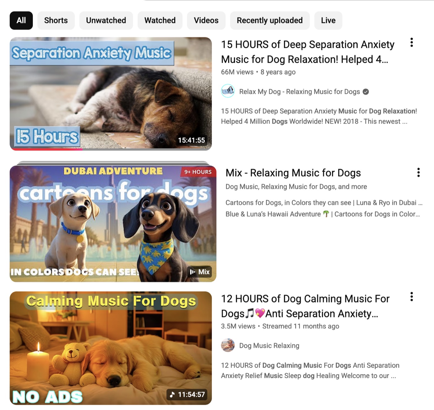 YouTube search results for dog separation anxiety music; top result has 66 million views.